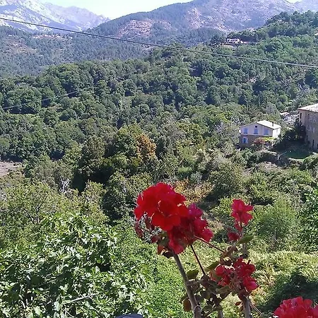 Casa Di Sterpalegnu