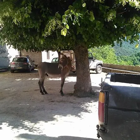 Affittacamere Casa Di Sterpalegnu *