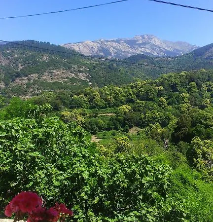 Affittacamere Casa Di Sterpalegnu